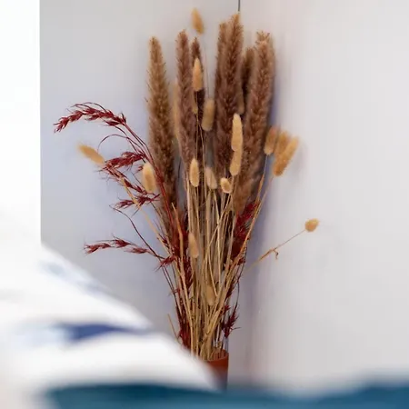 Ante Room's تروغير