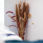 Ante Room's تروغير
